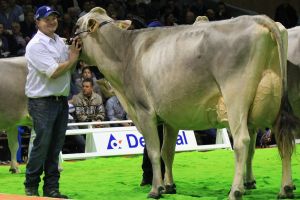 Bruna12 287